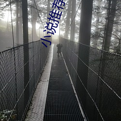 小说推荐言情 （错彩镂金）