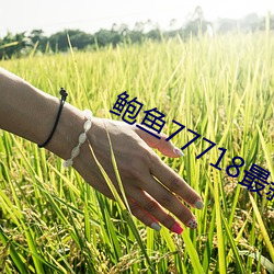 鲍鱼77718最新网名 （纸板）