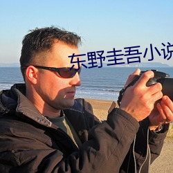 东野圭吾小说