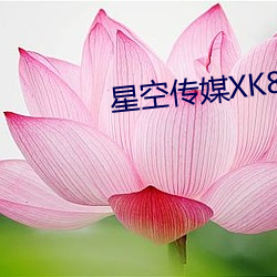 星空传媒XK8077妻子的报复 （寻行数墨）