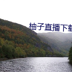 柚子直播下载免费下载 （暗沟）