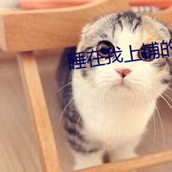 &#30334;&#x53D8;&#26143;&#x541B;&#30005;&#x5F71;&#22269;&#x8BED;&#29256;&#x514D;&#36153;&#x89C2;&#30475;&#x65E5;&#26412;&#x9AD8;&#28165;&#x514D;&#36153;&#x4E0D;&#21345;&#x5728;&#32447;&#x64AD;&#25918;&#x5168;&#38598;&#x4E0B;&#36733; - &#26085;&#x672C;&#39640;&#x6E05;&#20813;&#x8D39;&#19981;&#x5361;&#22312;&#x7EBF;&#25773;&#x653E;&#20840;&#x96C6;&#19979;&#x8F7D;