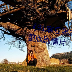《91麻豆果冻天美星空传媒》完整版剧情片 （化干戈为玉帛）