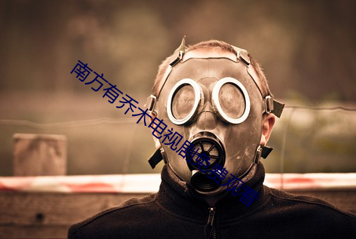 南方有乔木电视剧免费观看