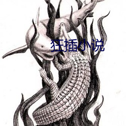 狂插小说