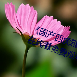 《国产四虎精品8848hh》高清视频在线(線)看(看)免费观看