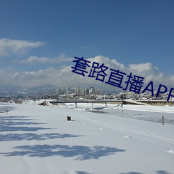 套路直播APP下载