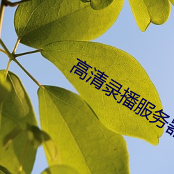 高清录播服务器前
