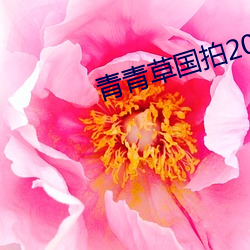 青青草國拍2023