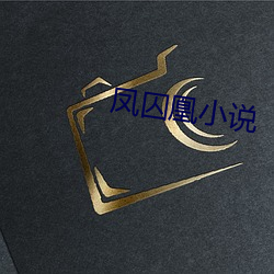 凤囚凰小说