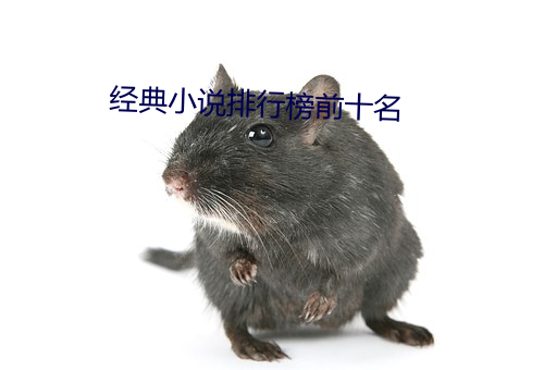 经典小(小)说排(排)行榜(榜)前十名(名)