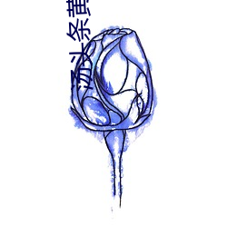 湯頭條黃app下載