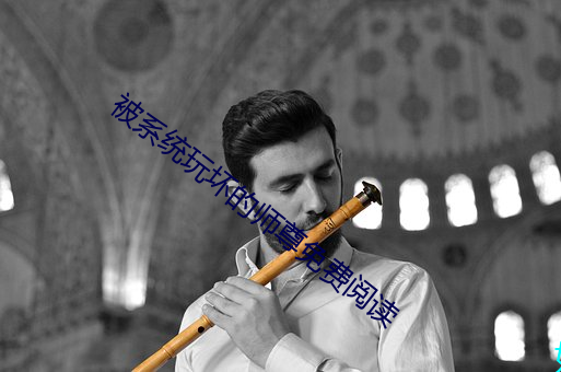 被系统玩坏的师尊免费阅读