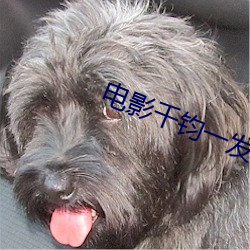 凯时|AG(AsiaGaming)优质运营商