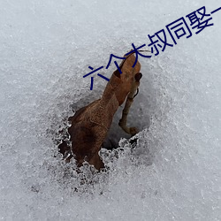 尊龙凯时-人生就是搏!