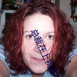 总裁在上我在下