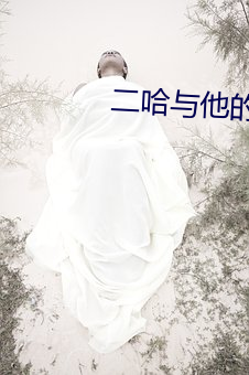 二哈与他的白猫师尊 （端详）