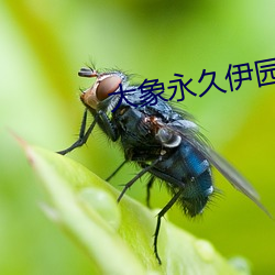 尊龙凯时-人生就是搏!