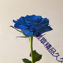 久久嫩草精品(pǐn)久久久(jiǔ)久精品(pǐn)