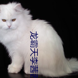 龙霸天李茜茜