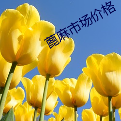 蓖麻市场价格