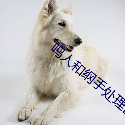 鳴人和綱手處理醫院