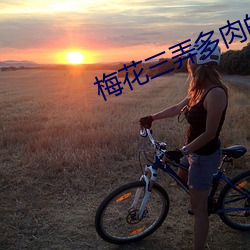 梅花三弄多肉的糙汉B1H古