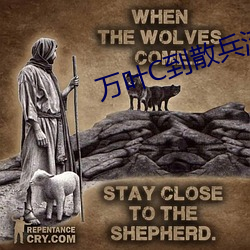 万(萬)叶C到散兵流白(白)色液体(體)