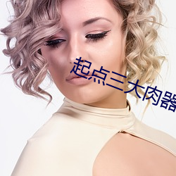 起点三大肉器是什么意思