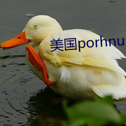 美國porhnub官網