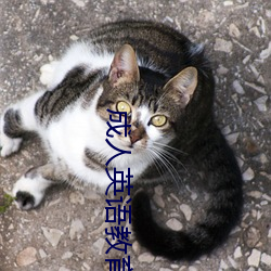 成人英語教育