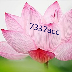 7337acc （临深履冰）