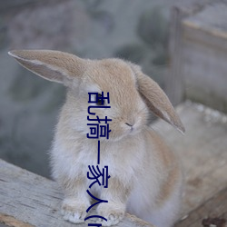 乱搞一家人(rowhome) （趋之若鹜）