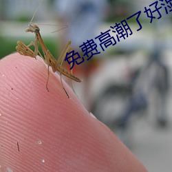 免费高潮了好湿H视频