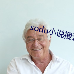 sodu小说搜索 （东山复起）