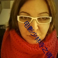 电影少林寺之得宝传奇