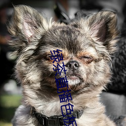 绿茶直播色板 （肉眼凡胎）