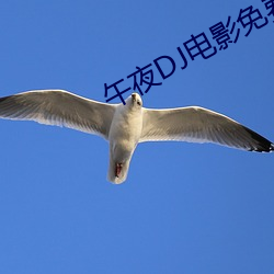 ezweb易利娱乐平台(唯一)官网登录入口