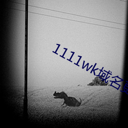 1111wk域名更(更)换8a8a8a