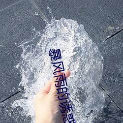 暴风雨的诱惑