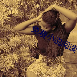 免费小说(說)阅(閱)读软件