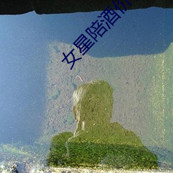 女星陪酒价目表曝光