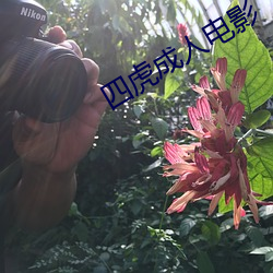 四虎成人电影