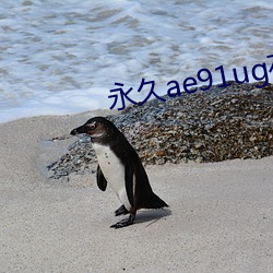 永(yǒng)久ae91ug在(zài)线观看