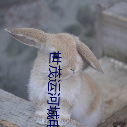 世茂运河城电影院 （雄才大略）