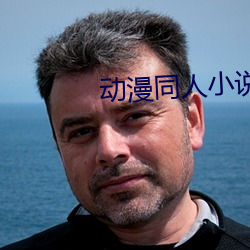 动漫同人(人)小说