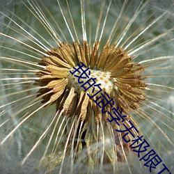 我的武学无极限TXT （江翻海扰）