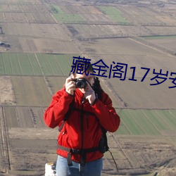 藏金阁17岁安全入口完整版