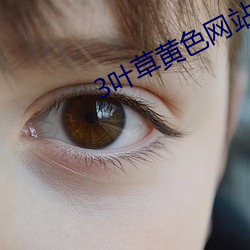 尊龙凯时-人生就是搏!