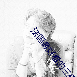 法(法)国最好看(看)的(的)三极